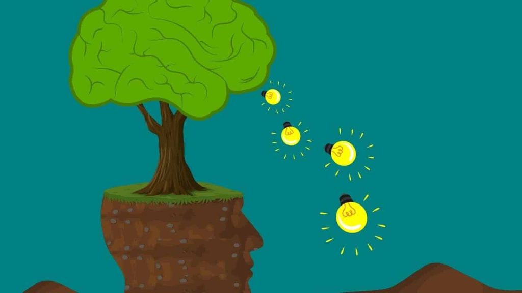 Does Dollar General Take EBT